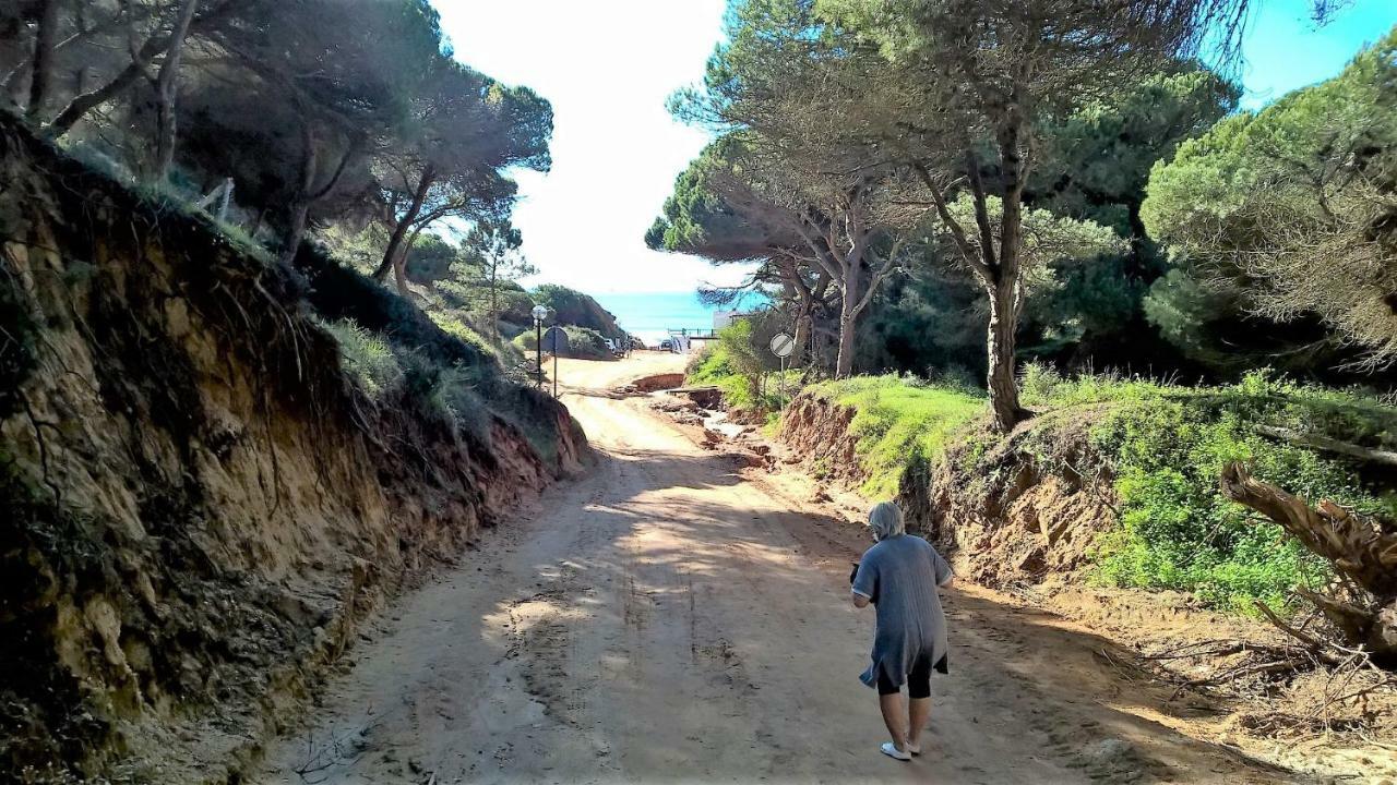 Luxurious T2 Apartment, Olhos Dagua Albufeira Zewnętrze zdjęcie