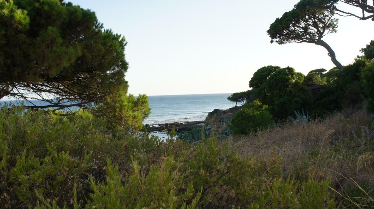 Luxurious T2 Apartment, Olhos Dagua Albufeira Zewnętrze zdjęcie